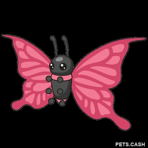 2021 Uplift Butterfly