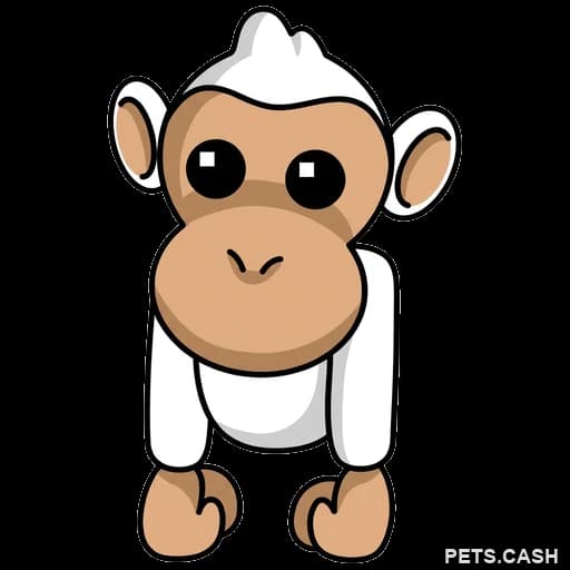 Albino Monkey