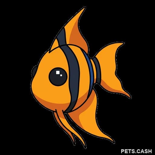 Angelfish
