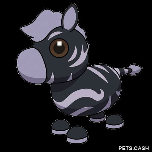 Ash Zebra