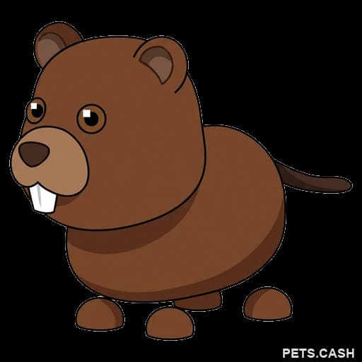 Beaver