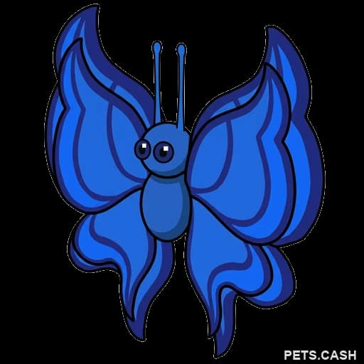 Blue Butterfly