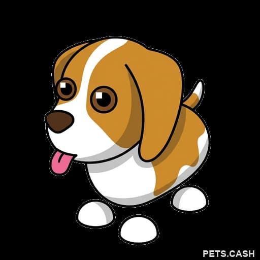 Brown Springer Spaniel