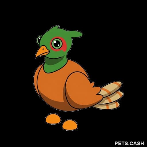 Brown-Chested Pheasant