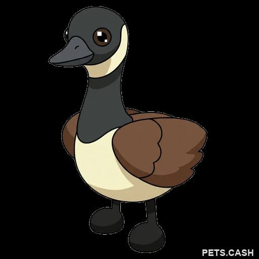 Canadian Goose