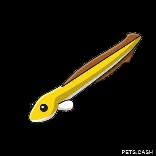 Eel