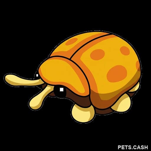 Golden Tortoise Beetle