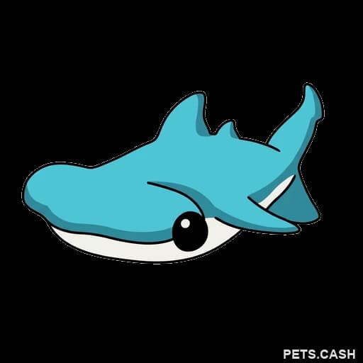 Hammerhead Shark