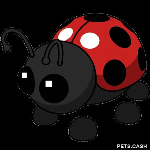 Ladybug
