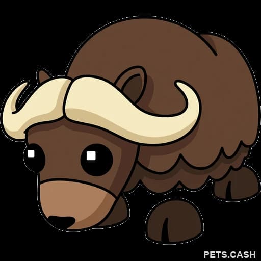 Musk Ox