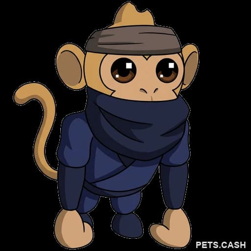 Ninja Monkey