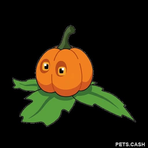 Pumpkin Friend