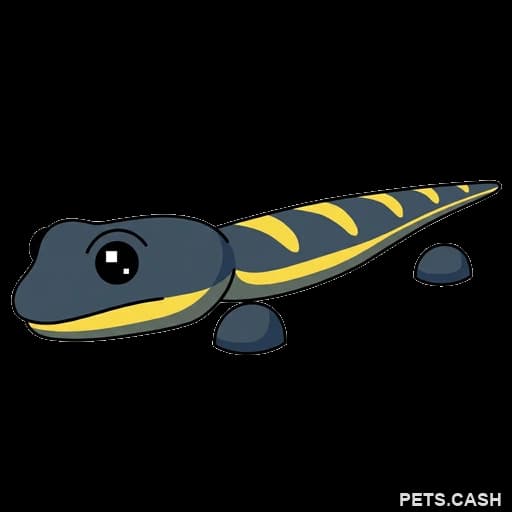 Salamander