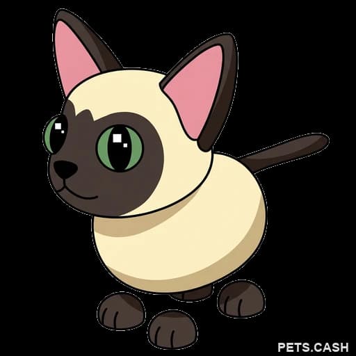 Siamese Cat